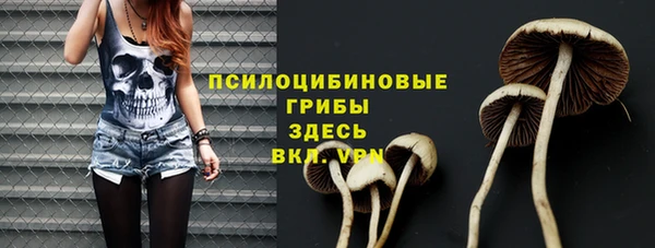 хмурый Магас