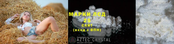 хмурый Магас
