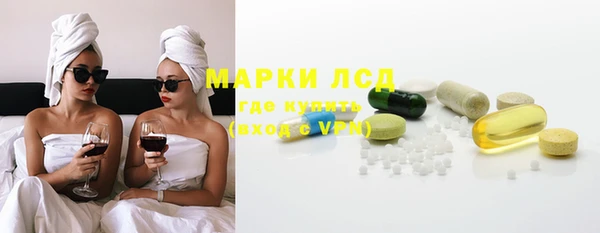хмурый Магас