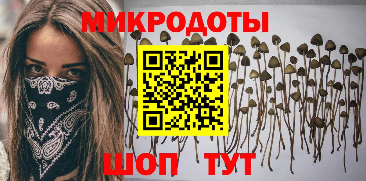 Нальчик  Псилоцибиновые грибы мухоморы  Вход с VPN  Псилоцибиновые грибы Cubensis 