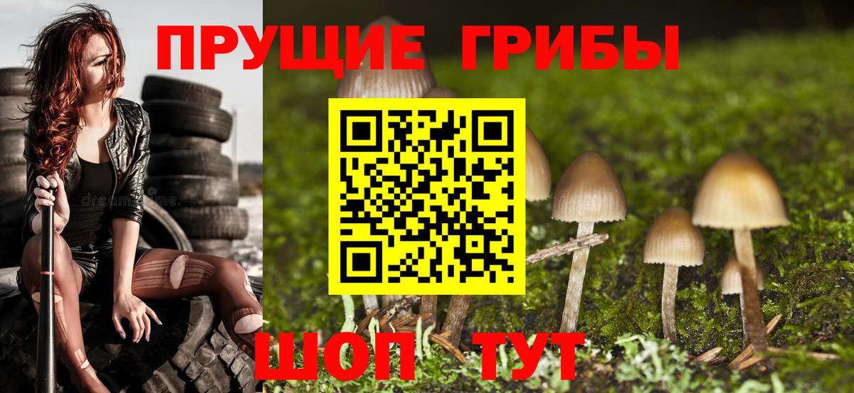 Псилоцибиновые грибы Magic Shrooms Нальчик